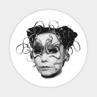 Björk Magnet